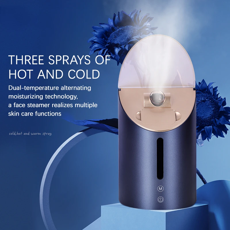 Portable handle Face Steamer nano electric facial steamer multifunctional Skin Facial steamer