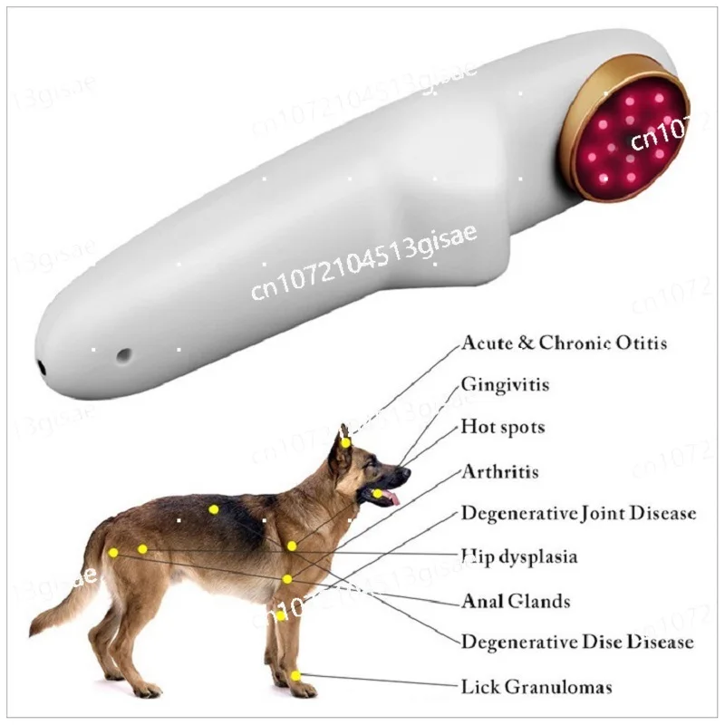 Imagem -03 - Pet Physiotherapy Laser Device Grandes Animais e Veterinários Feridos Cura Veterinária Gd-p