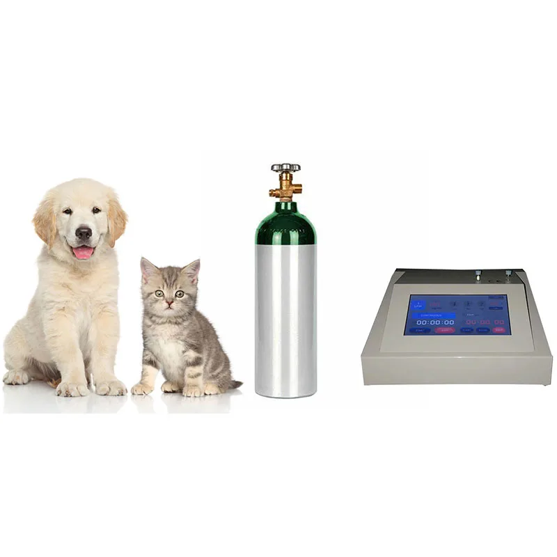 Latest LCD Screen 1-105ug/ml Adjustable Veterinary Ozone Therapy Machine With Timer