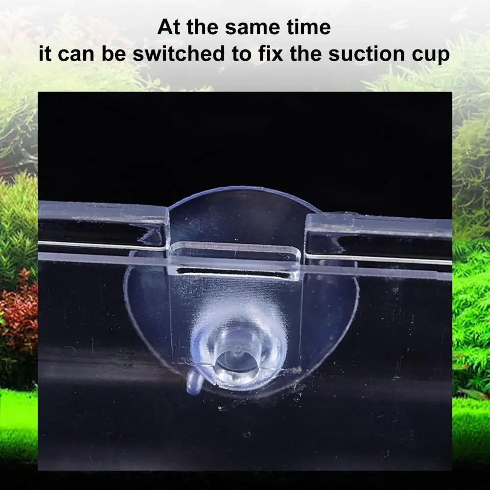 Double Isolation Compartment Breeding Box Transparent Multi-grid Aquarium Breeder Box for Fish Breeding for Shrimp image 5