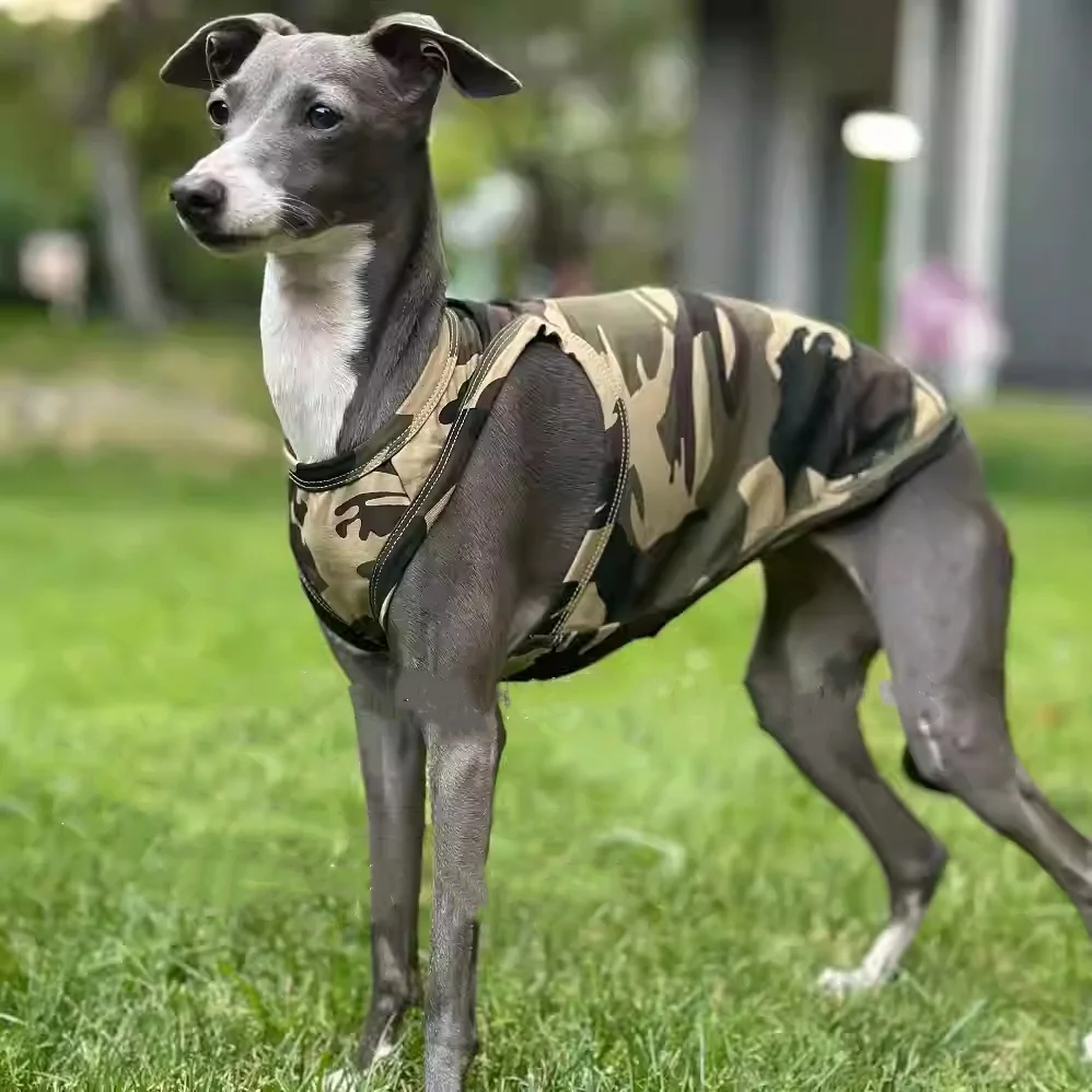 Italy Greyhound Green Camouflage Racer Vest Votton Odal Cold Fabric Skin-friendly Spring and Summer Thin T-shirt for Whipbit Dog