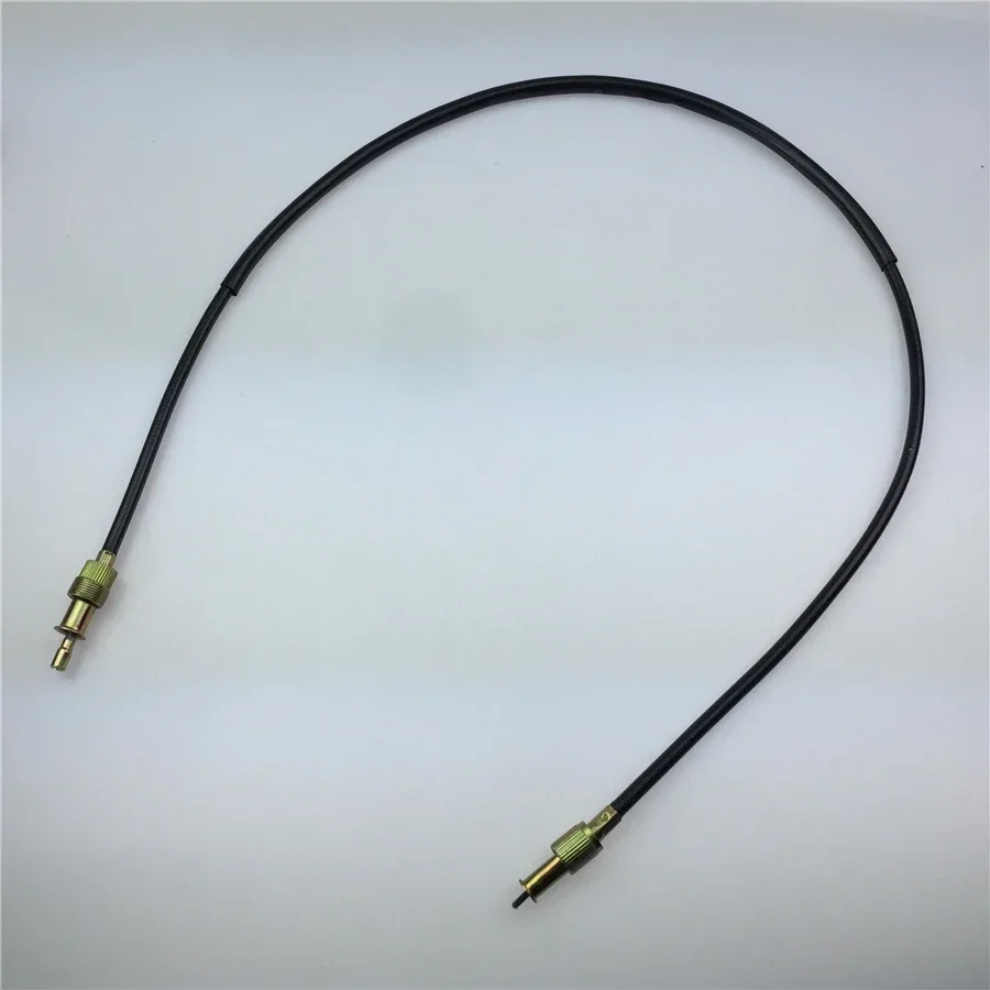 For Jialing Cabbage…