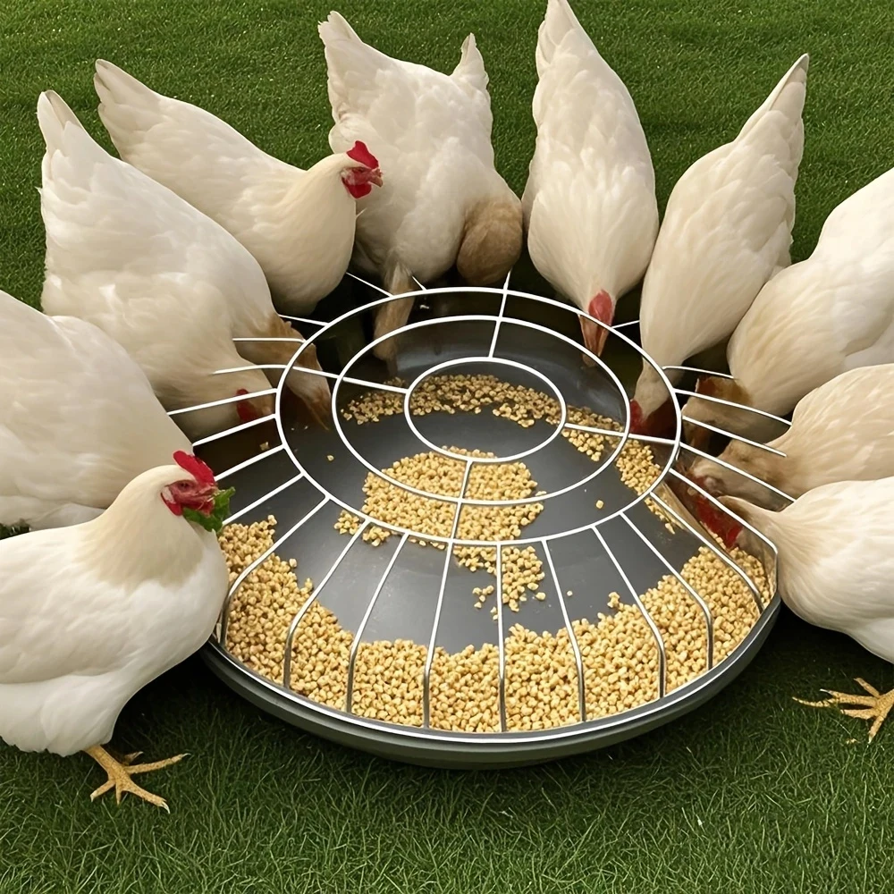 #7 Latest Farm Feeding Offers