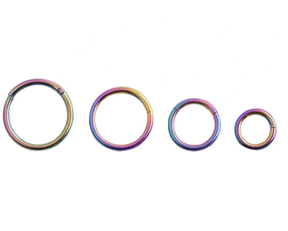 Nose Ring Hinged Clicker Segment Rings Set, Gift