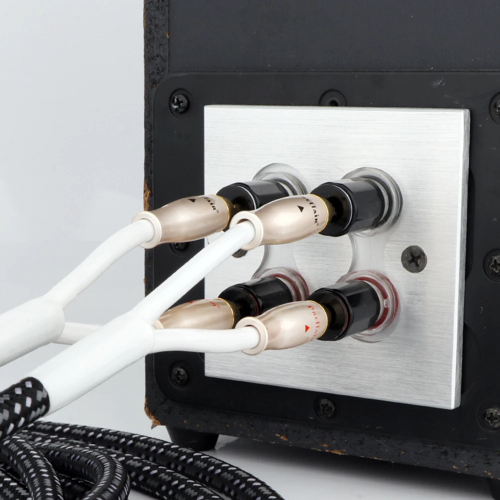 Paar OCC Versilberte Lautsprecherkabel mit 5µ Vergoldeten Bananensteckern für CD/HIFI-Systeme – Detail 3