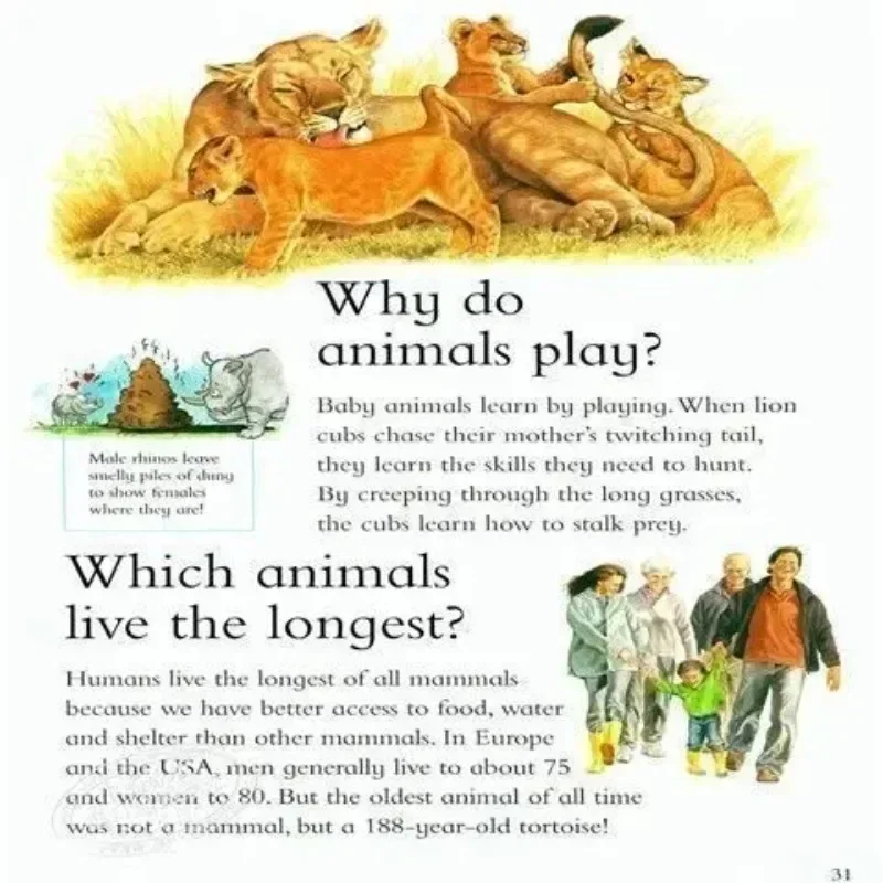 Libro DIFUYA Random 12 Books Wonder Why Children's Encyclopedia Popular Science Readings English Children's Books Libros Livres