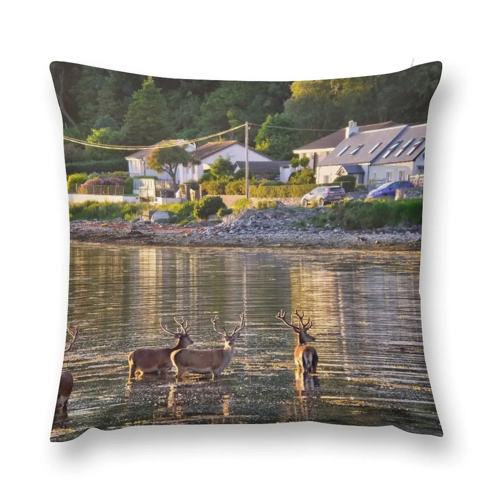 

Lochranza, Isle of Arran, Scotland Throw Pillow christmas pillow case Pillowcases Cushion Covers Sofa pillow