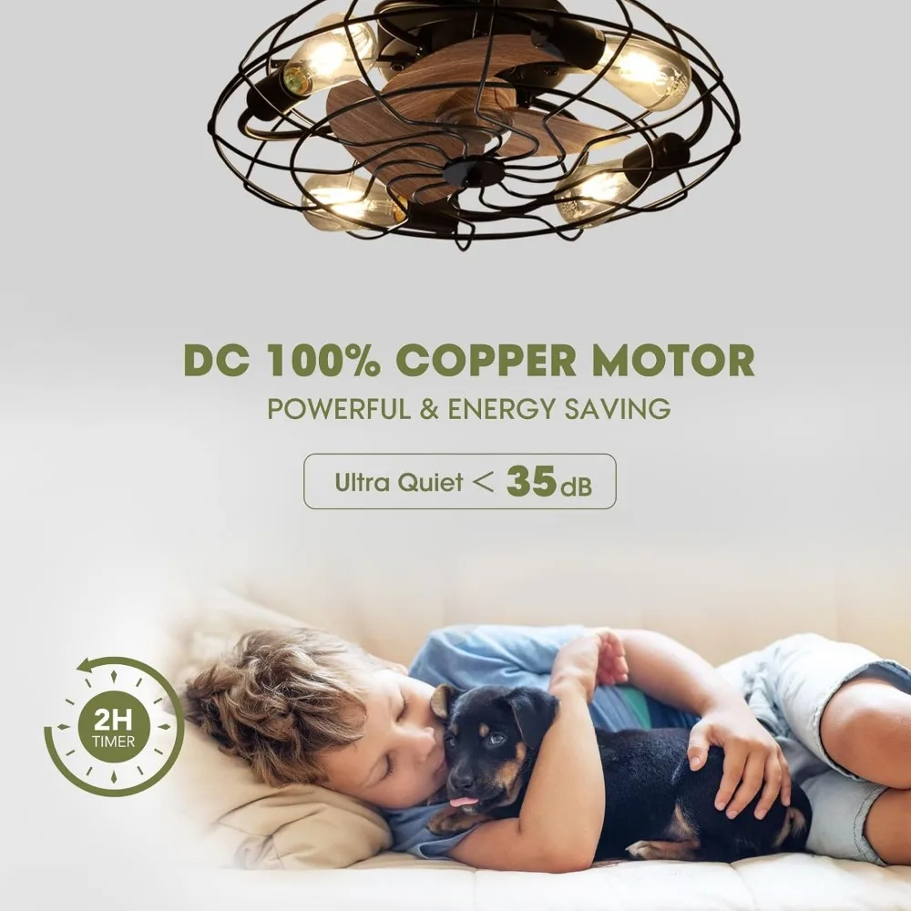 Caged Ceiling Fan with Light, 21" Small Low Profile Ceiling Fan with Light and Remote, 3 Enclosed Blades, 6 Wind Speeds,