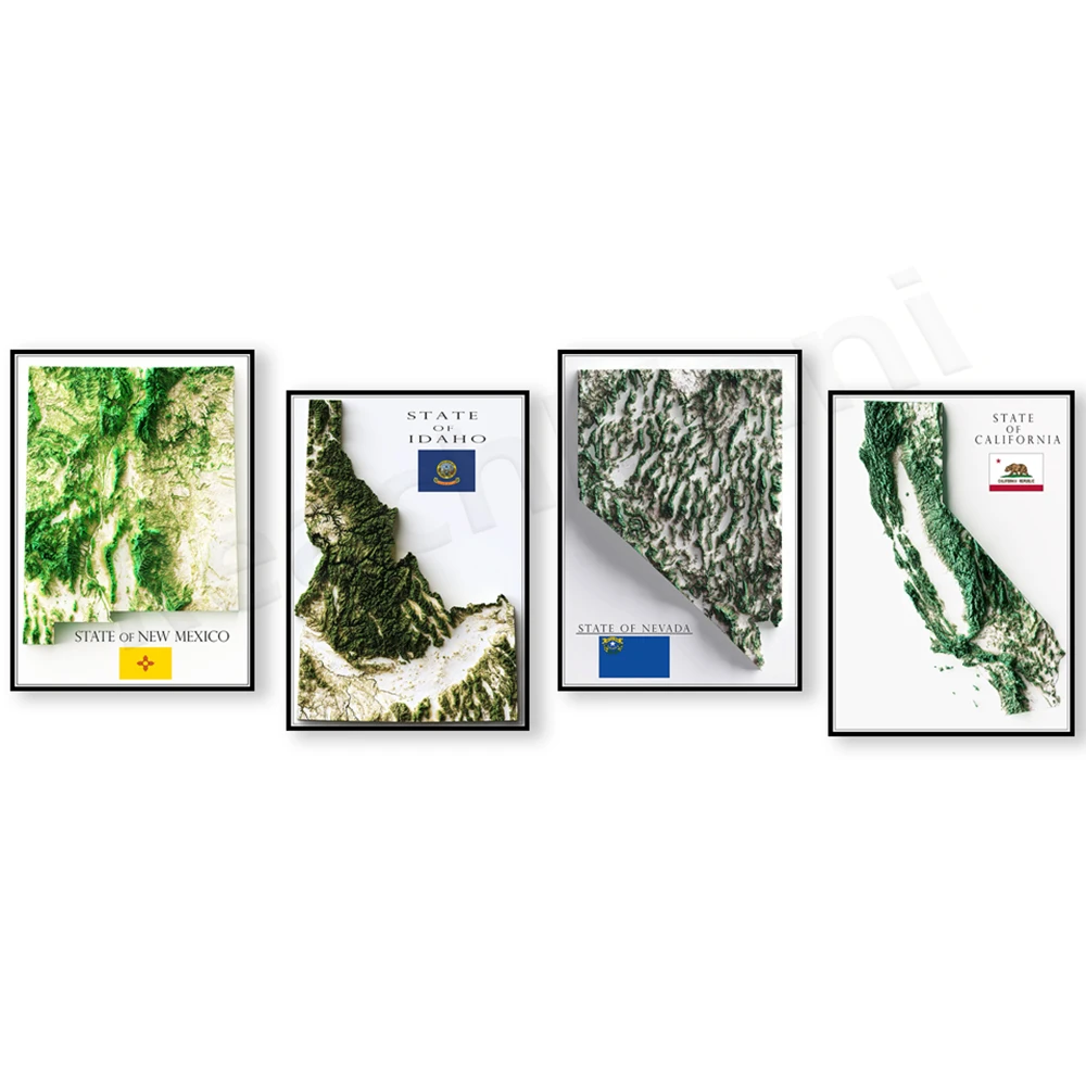 California, Texas, New Mexico, Pennsylvania, Colorado, Idaho, Nevada elevation map shadow relief effect canvas print poster