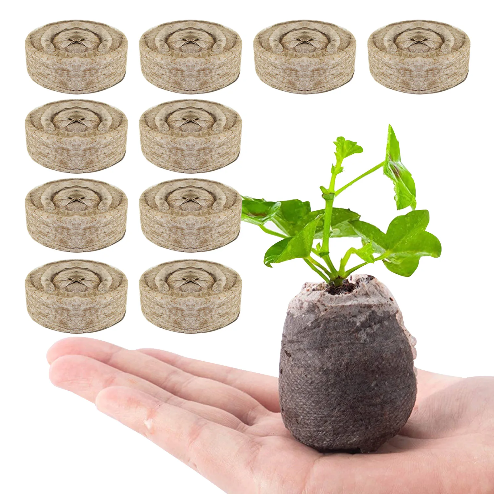 10 Peat Pellets 30mm Grow Seedlings Mud Compress Nutrition Soil Block Planting Earth Gardening Articles for Flowers Grow Herb