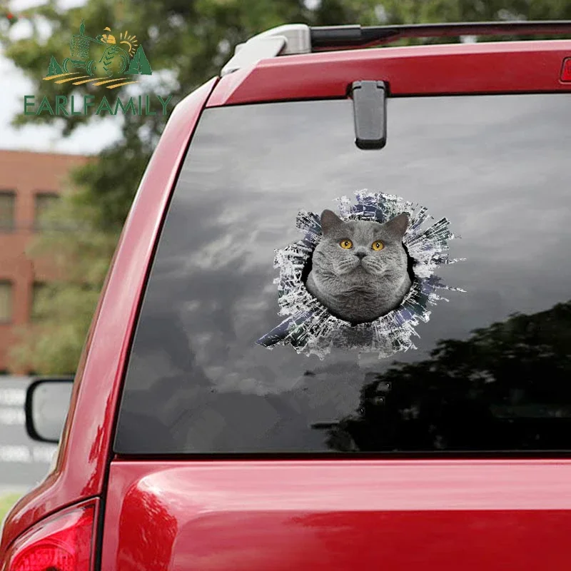 EARLFAMILY 13cm x 11.9cm for Shorthair Kitten Car Accessories Stickers Motorcycle Decal Car Refrigerators RV JDM Vinyl Sticker