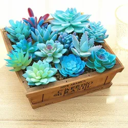 Blue Artificial Succulents Plants for Home Garden Decoration Wedding Plants Wall Flower Arrangement Bonsai Fake Plants 5pc/lot