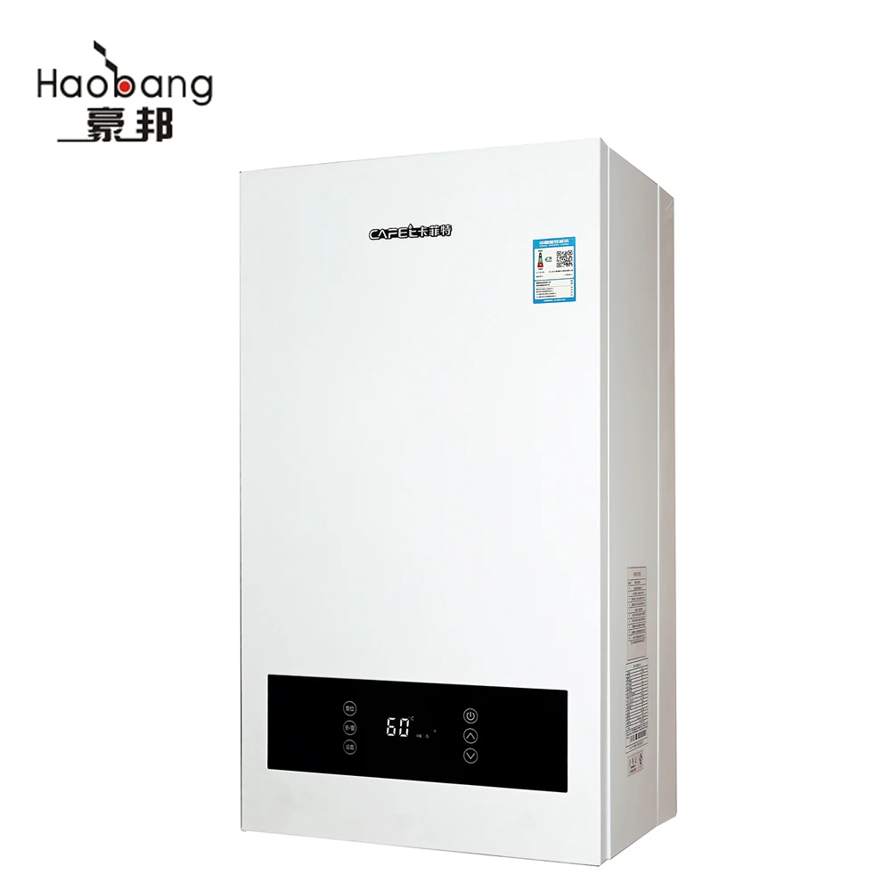 

German Hot Selling Ignitor For Gas Combi Boiler 24KW