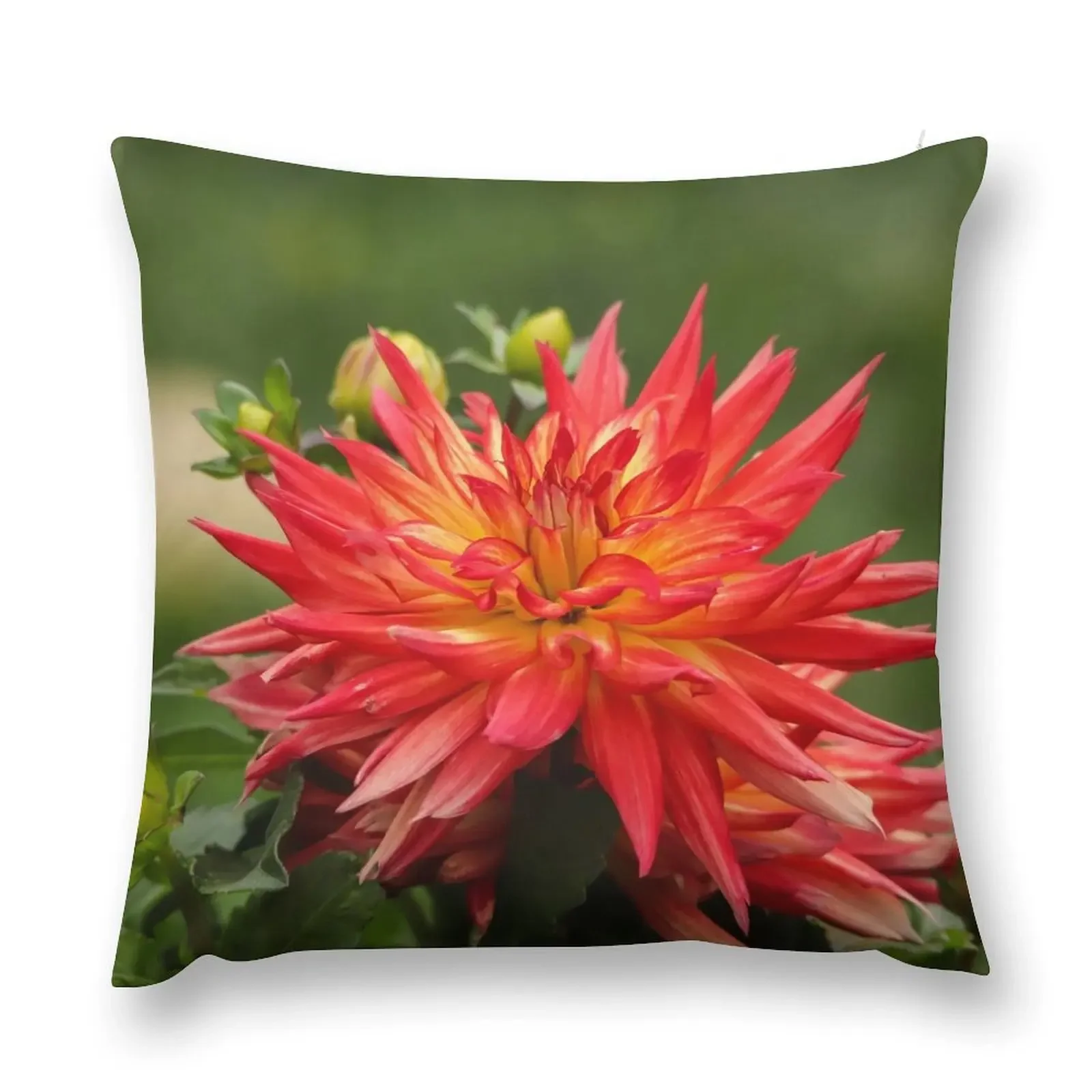 Magnificent Dahlia Throw Pillow Sofas Covers Decorative pillowcase Cushions pillow