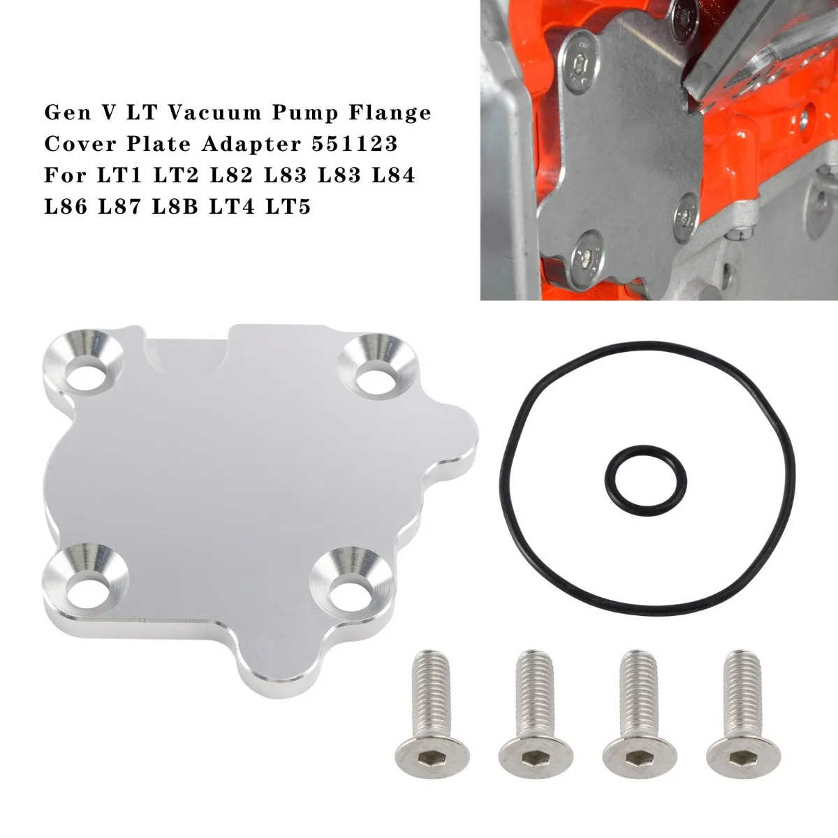 Gen V LT Vacuum Pump Flange Cover Plate Adapter Set 551123 Replacement Accessor…