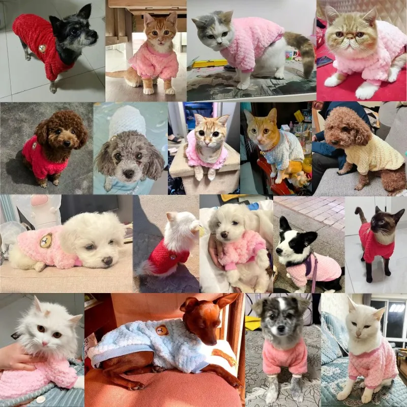 Winter Warm Dog Hoodies Pet Dog Clothes Soft Puppy Pullover Cute Bear Print Cat Sweatshirt Fashion Pet Hoodies Chihuahua Clothes