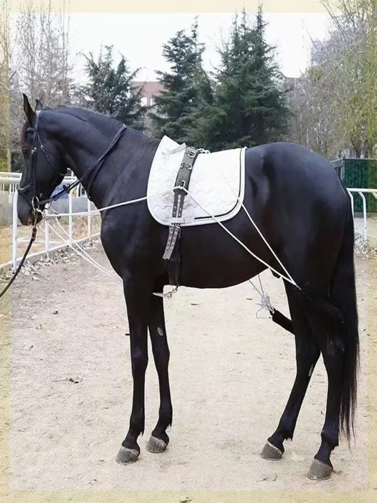 dikai-training-backpack-belly-strap-balance-teaching-equipment-non-eight-foot-dragon-for-equestrian-sports-fitness