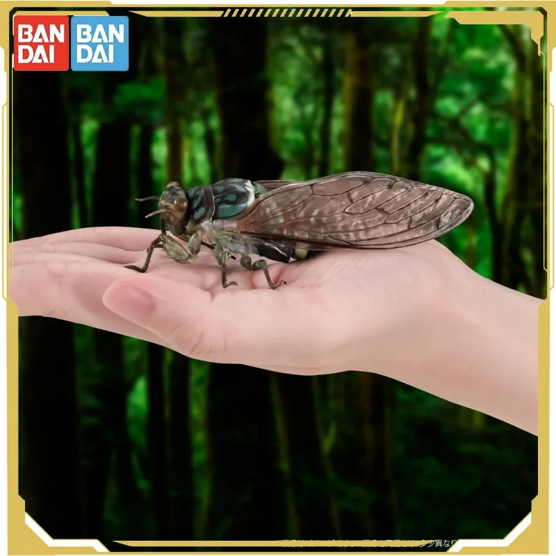 반다이 생물학 백과사전 액션 피규어 모델 매미 반점 날개 매미 가샤폰 장식품 정품 수집 장식품