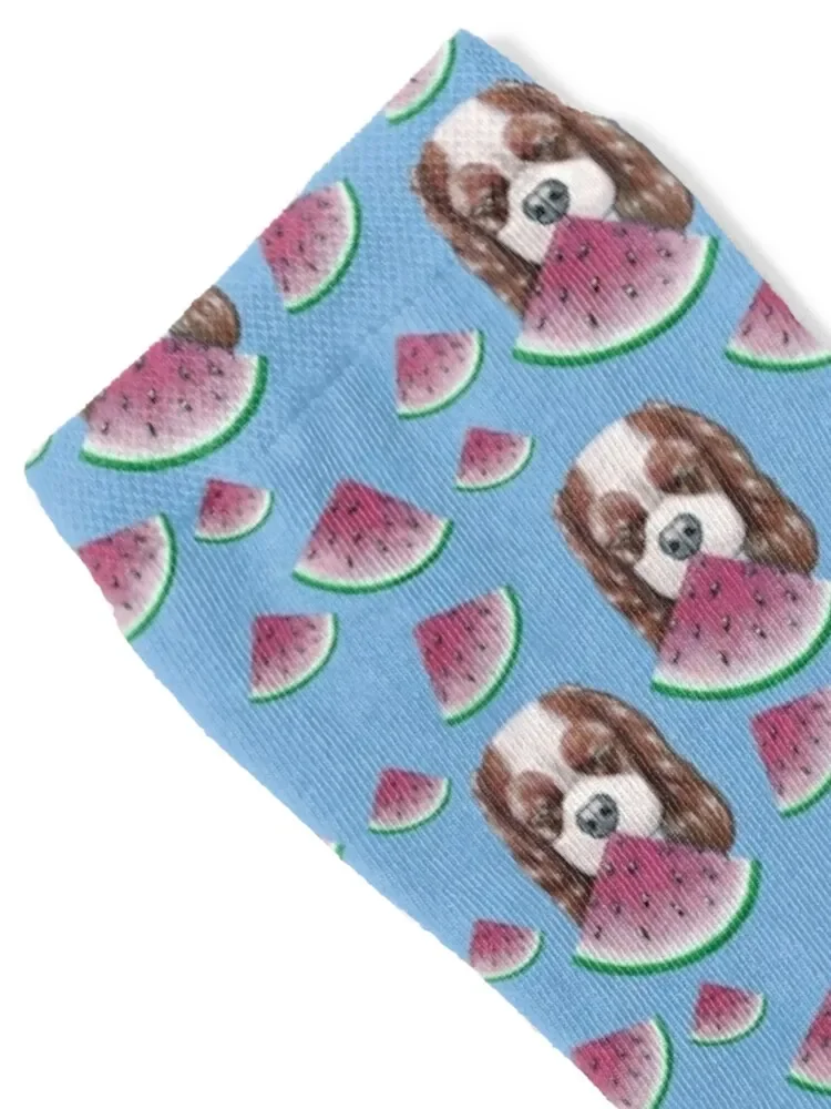 Cavalier King Charles Spaniel - Blenheim and Watermelons Socks japanese fashion hiphop Socks Ladies Men's