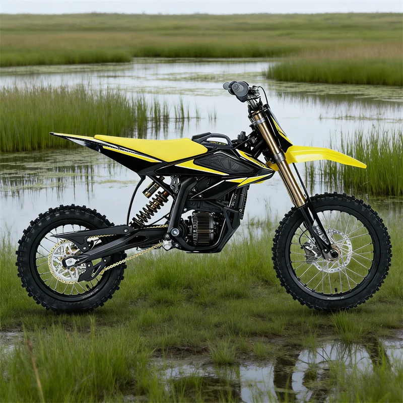 

SXLL European Union Hyper Bee 14/12 Off-Road Lithium Electric Bike with Gyroscope 65km/h Electric Off-Road Bike