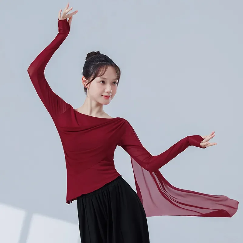 Modern Dancers Mesh Splicing Irregular Long-sleeved Tops Dancers Daily Body Training Practice Clothes Classical Dance