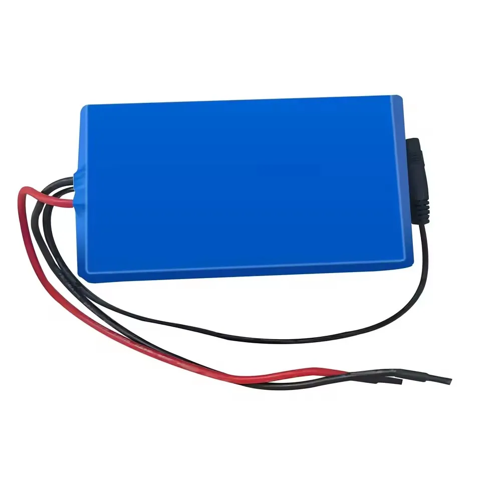 6S1P محمول قابل لإعادة الشحن 24 فولت 2 أمبير (20000 مللي أمبير) 18650 بطارية ليثيوم أيون (DC25.2V) للشاشة/الكاميرا/سيارة لعبة + شاحن #4