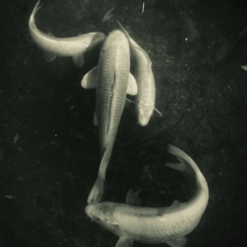 

Рабочая подставка для ремонта радиоуправляемого автомобиля, платформа с регулируемой высотой для TRX4 Redcat Axial Arrma Kraton Slash 1/10 1/8 1/12 RC Car