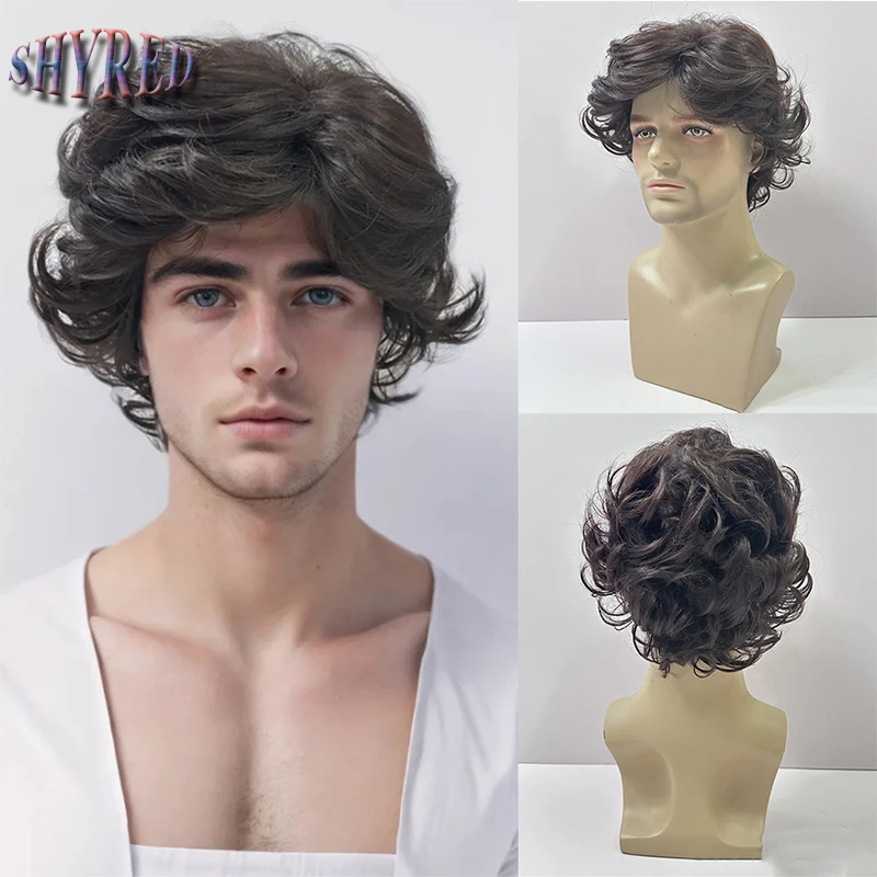 

Synthetic Man Short Curly Brownish-Black Wig with Bangs Dark Root Hair for Men Daily Wear Realistic Wig