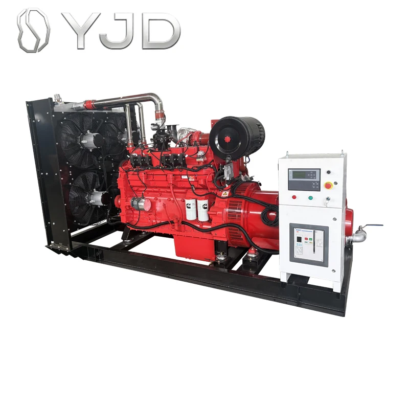 TMTCPOWER 85% Efficiency CNG LPG Hydogen Biogas Propane Chlorine Natural Gas Air/Water Cooled Silent Turbine Gas Generator Set