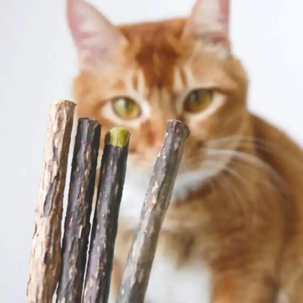 5Pcs Natural Cat Sticks For Cats Natural Catnip Chew Sticks Teeth Molar Chewing Teeth Bite-resistant Toys Pet Toys Products