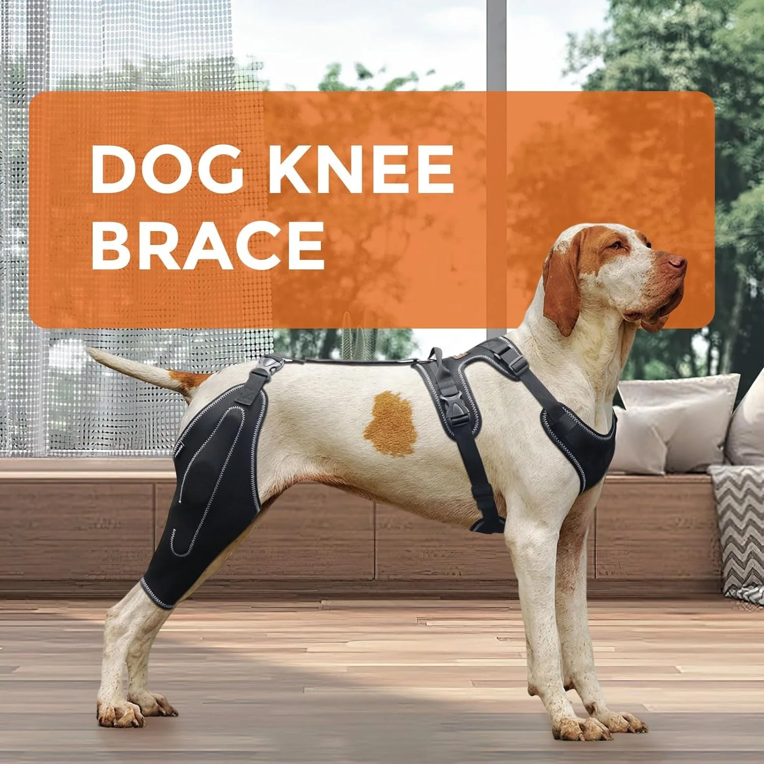 Adjustable Leg Knee Brace Support Strap Dog Leg Sleeve Protector for Recovery Relieves Joint Pain Outdoor Activity