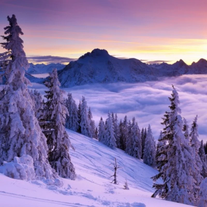 Absorber Suspension… - image