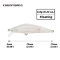 Blank Lures