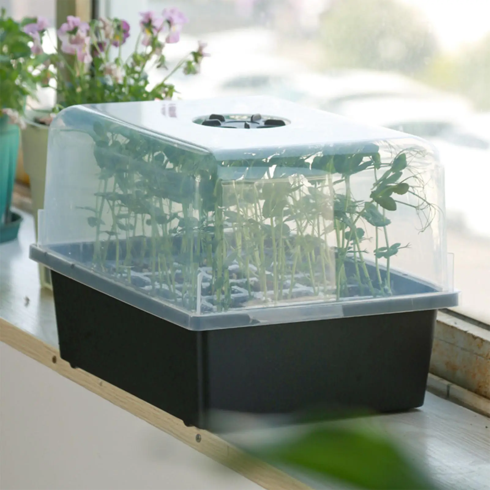 صواني إنبات النباتات الشتلات تزايد بداية الأواني الثقيلة تزايد وعاء التهوية كفاءة في استخدام الطاقة إنبات كاتب ل #2