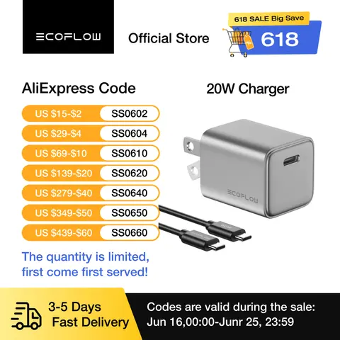 Caricabatterie ECOFLOW USB C, blocco di ricarica rapido da 20W/30W/65W GaN tipo C con spina pieghevole, compatibile con iPhone((cavo USBC scin)