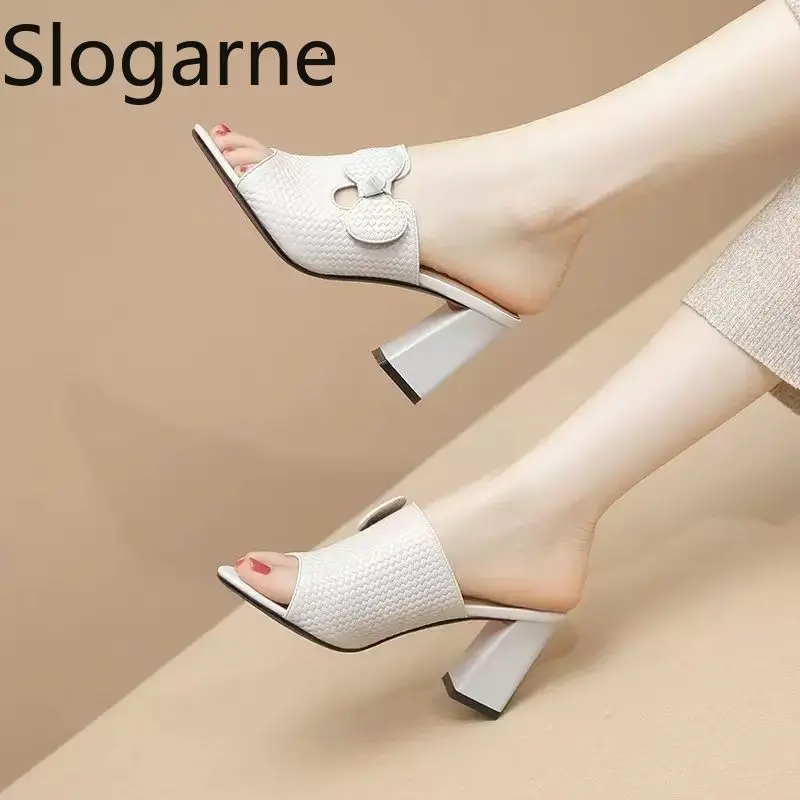 Europe American Summer Shoes Women Thick High Heels Peep Toe Sandals 2026 New Korean Casual Outddor Roman Slippers Girls Pumps