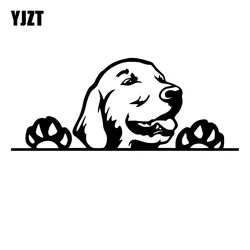 YJZT  Creative Golden Retriever Dog Peeking Vinyl Car Stickers Black/Silver