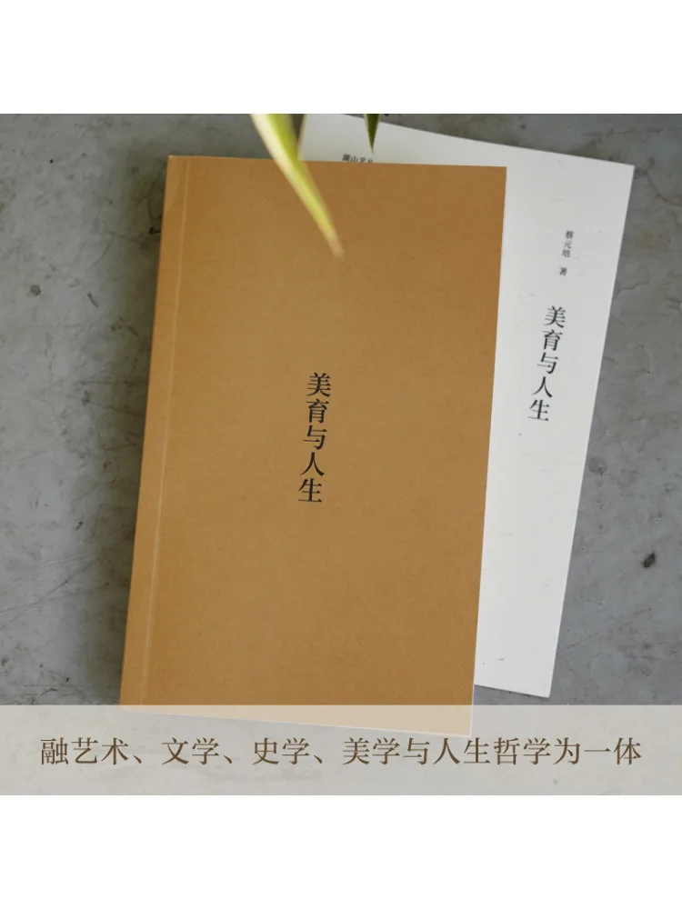 Stile giocoso del libro-Winshare