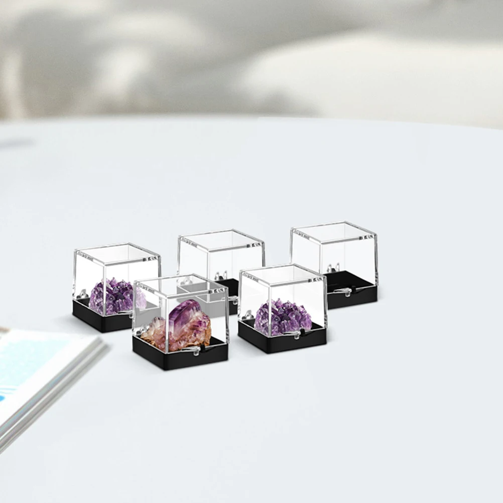

10pcs Mineral Rock Carry Collection Collection Cases Jewellery Cave Clear Crystal Storage Containers Specimen Gifts