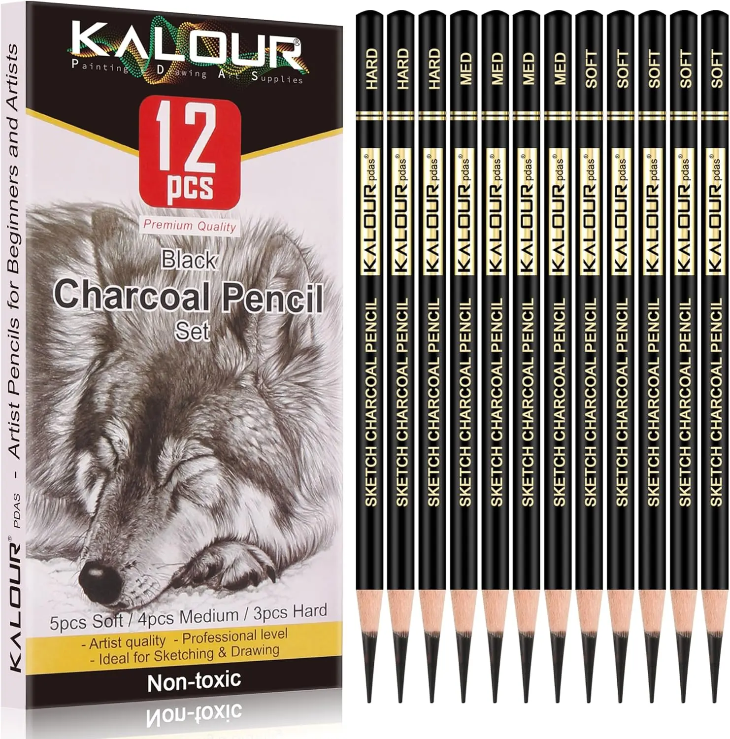 

Professional Charcoal Pencils Drawing Set -12 Pieces Soft, Medium and Hard Charcoal Pencils for Drawing, Sketching, Shading, Art