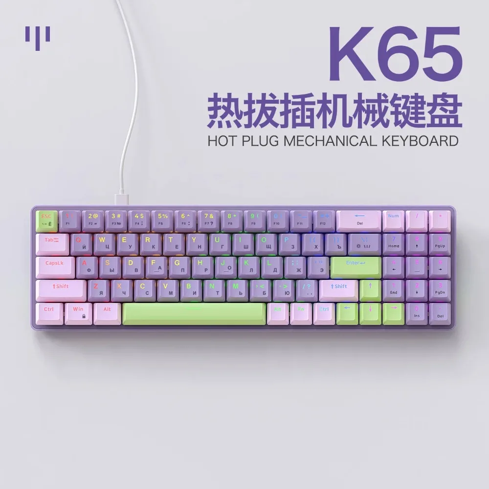 FreeWolf K65 Hot-swappable Russian Mechanical Keyboard Gasket Gaming Wired Ergonomic Office Esports Computer Peripherals Custom