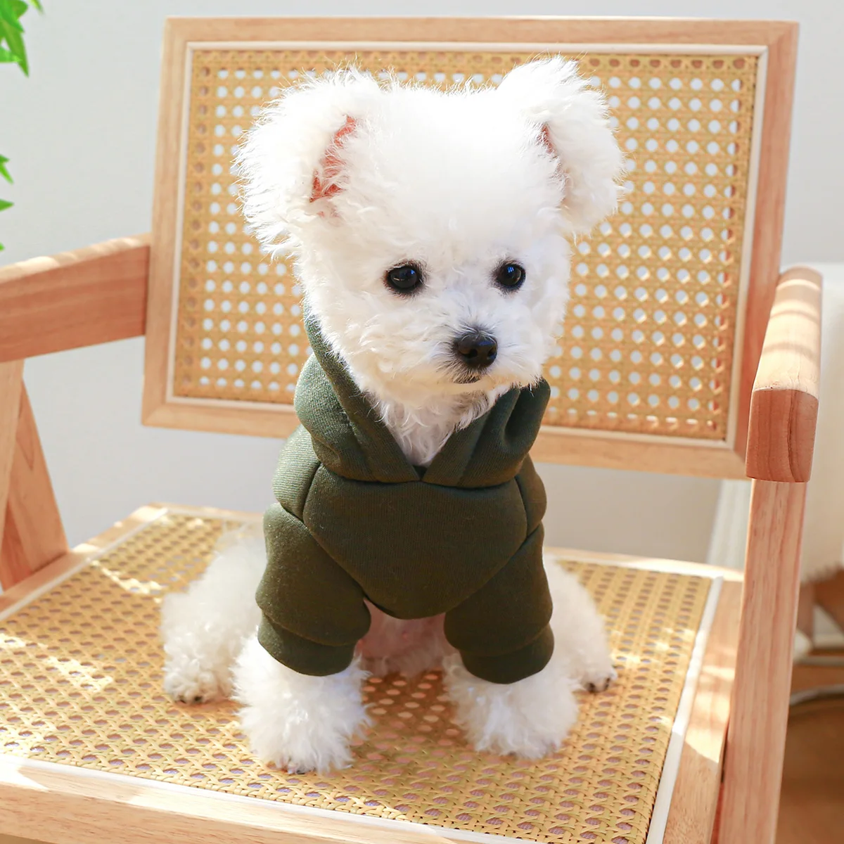 1PC pet clothing dog spring and autumn thickening army green warm comfortable pullover Hoodie For Small and Medium Dogs