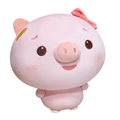 HEAD Pig