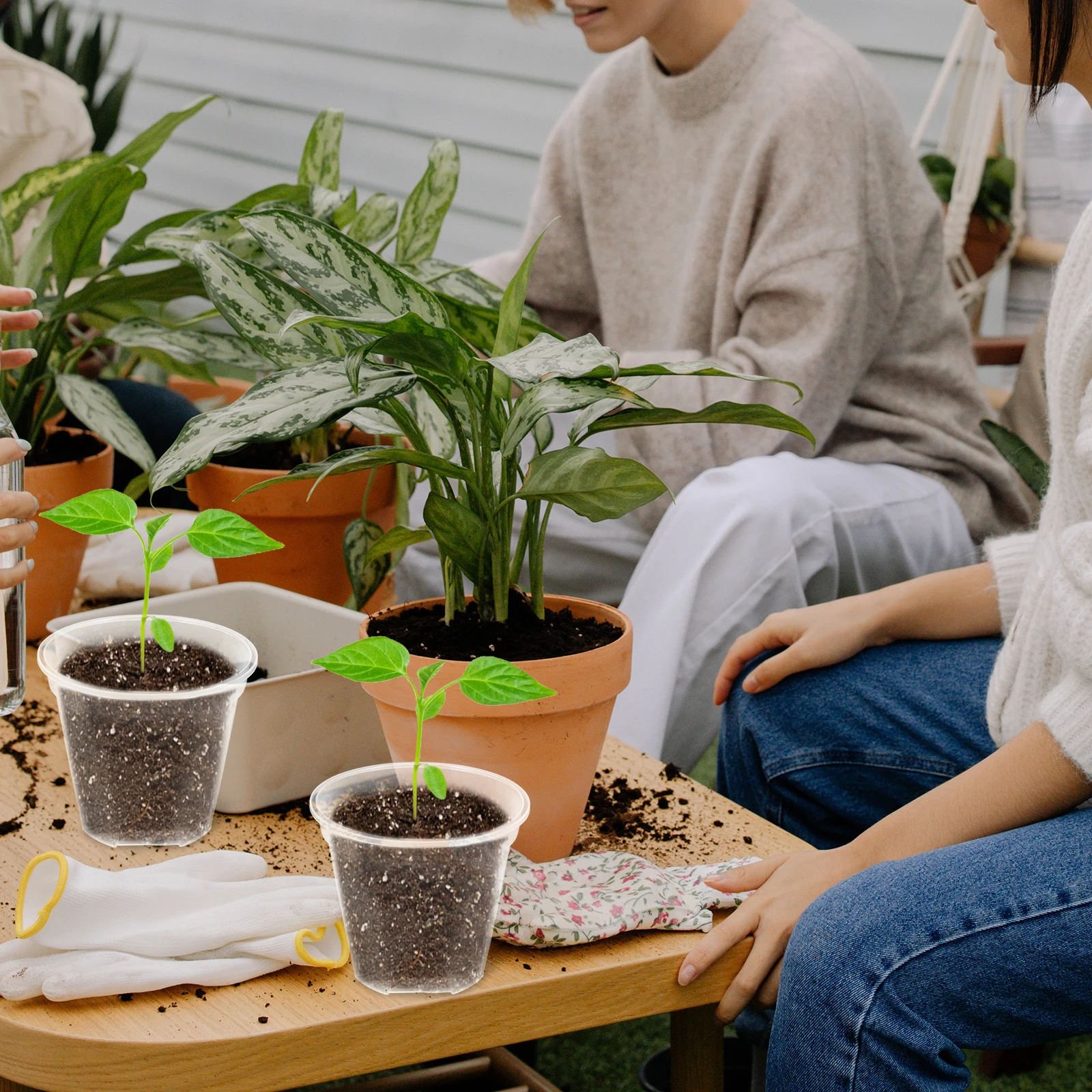 

10pcs Clear Orchid Pots 12Cm Transparent Plastic Planters With Drainage Efficient Air Circulation Large Nursery Containers For