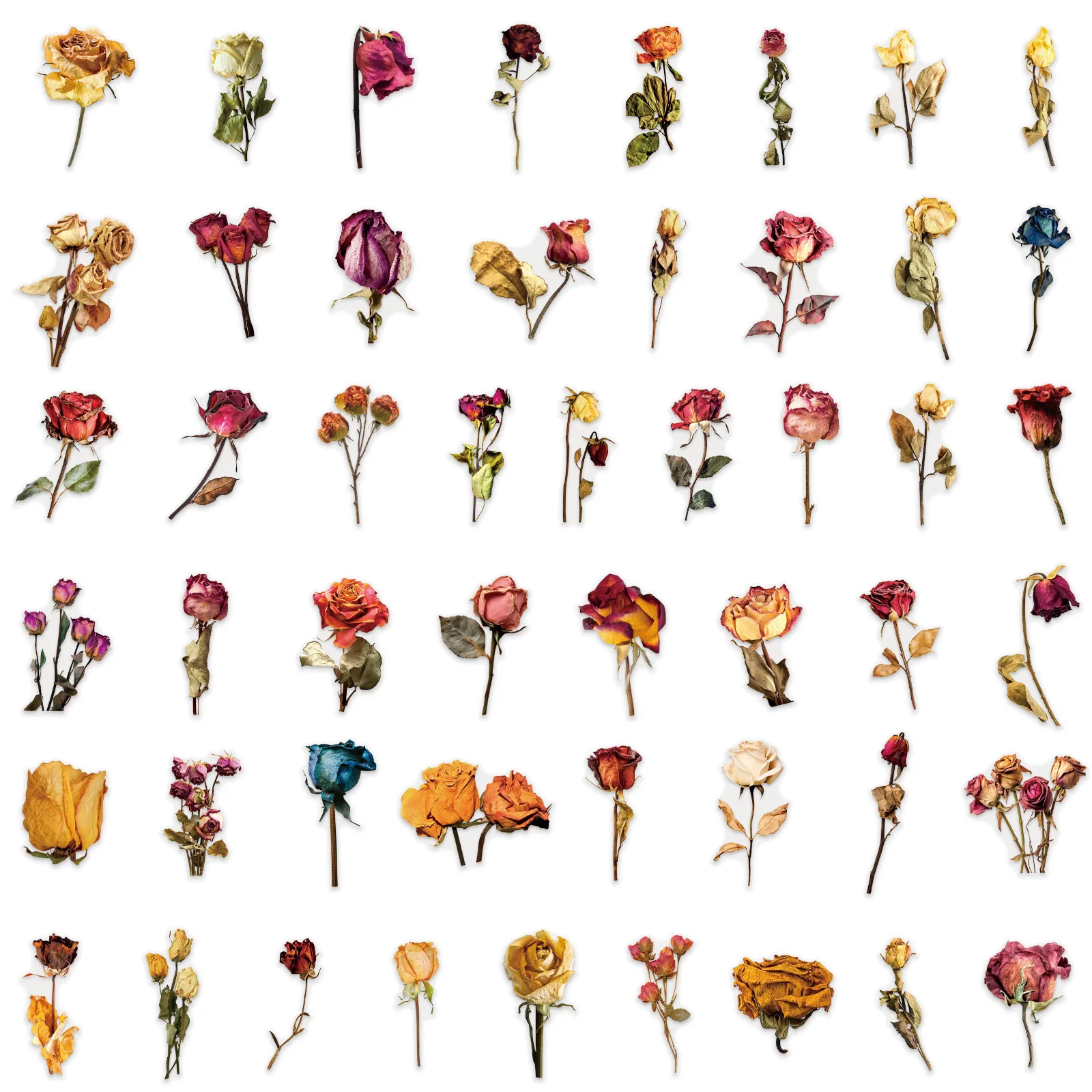 50/100PCS โปร่งใส PET ดอกกุหลาบสติกเกอร์ DIY โน้ตบุ๊ครถจักรยานยนต์เดสก์ท็อปเครื่องเขียนสติกเกอร์ตกแต่ง