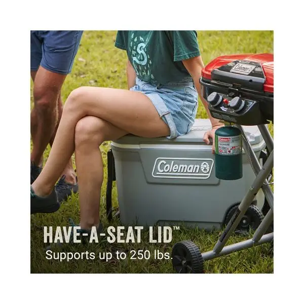 316 シリーズ ホイール付きクーラー 101 缶/62 クォート ハードサイド クーラー - グレー