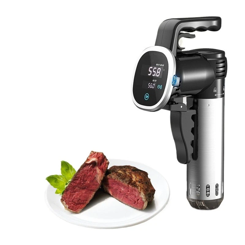 Sous vide machine, steak cooking wand, healthy cooking machine for salmon and chicken chops