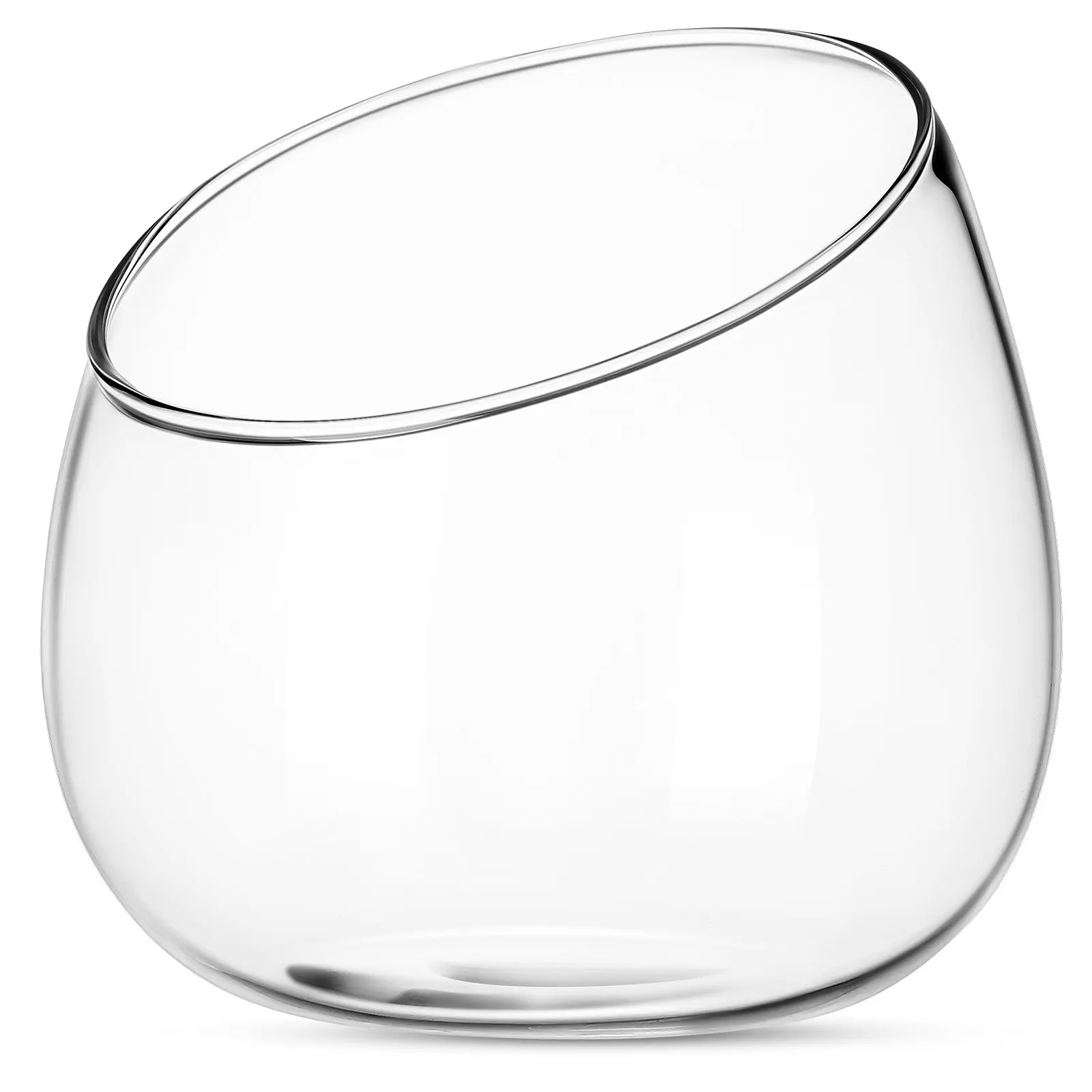 Decorative Clear Glass Bowl Vase Unique Slanted Mouth Ideal for Indoor Succulent Planting Home Office Centerpiece