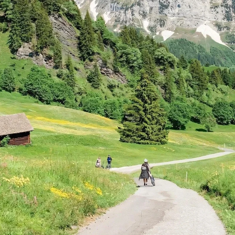 GEPRC EM3110 3110 Motor - 900KV 6S LiPo 8-10inch FPV Long Range RC DIY Parts