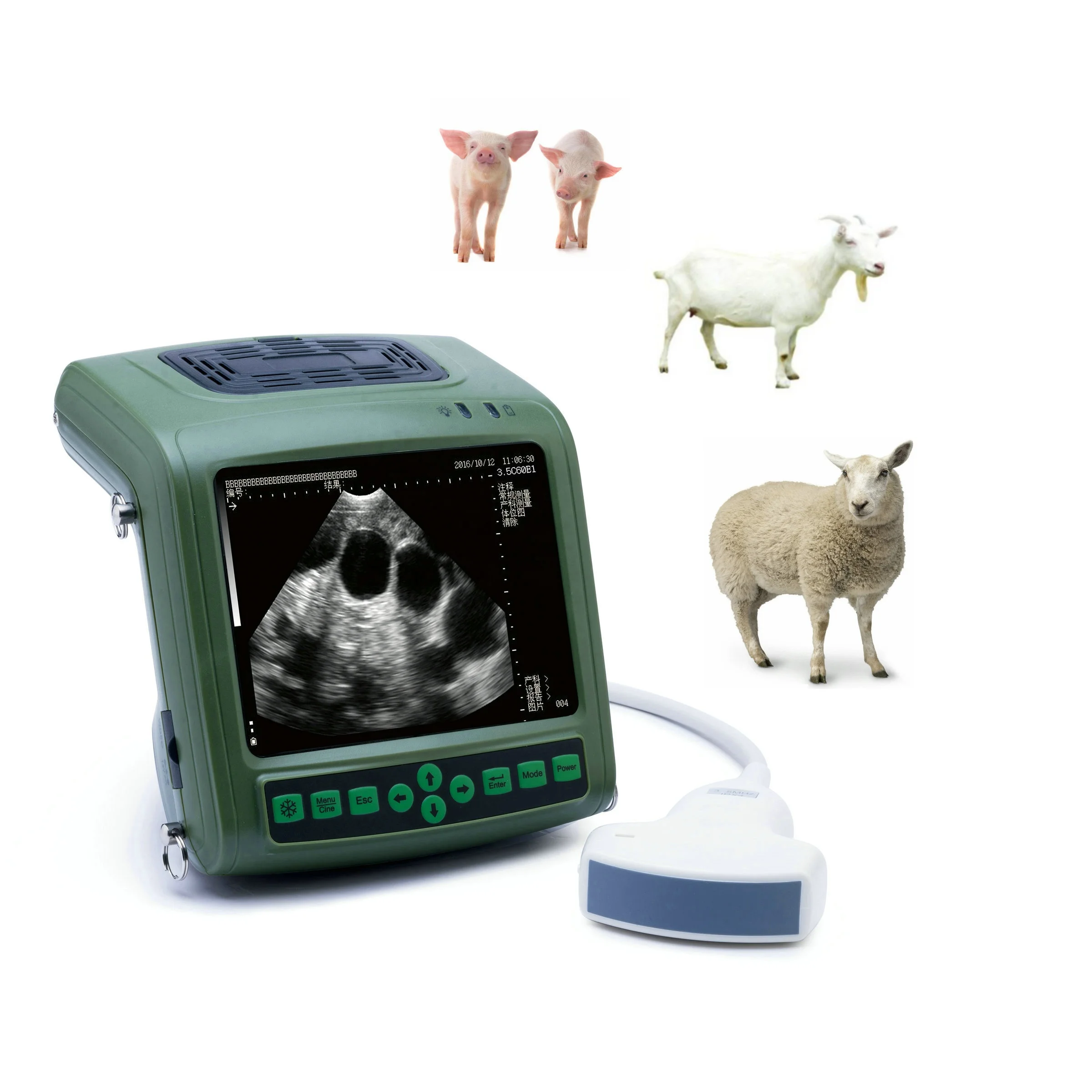 

Draagbare Goedkope Draagbare Kaixin Veterinair Instrument Echografie Schapen Varken Zwangerschap Echografie Scanner